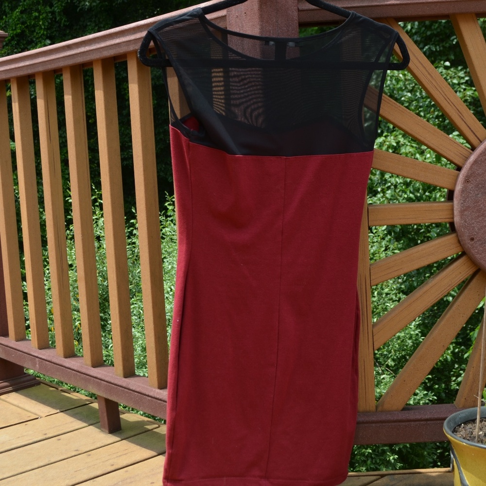 Bodycon Mesh Dress - Picture 2 of 3